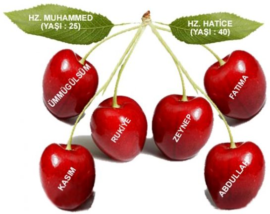 Hz Muhammed'in Soy Ağacı