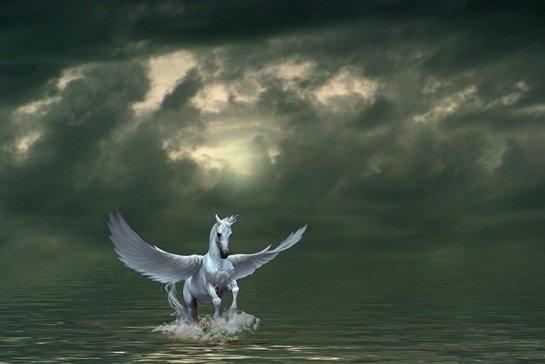 Pegasus Nedir? Pegasus Hakkında Bilgi